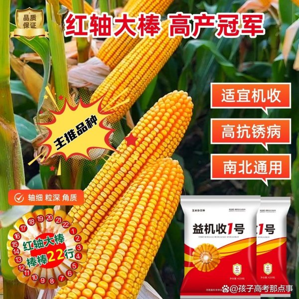 开云体育大大镌汰收获后的曝晒时辰-开云「中国」kaiyun体育网址登录入口