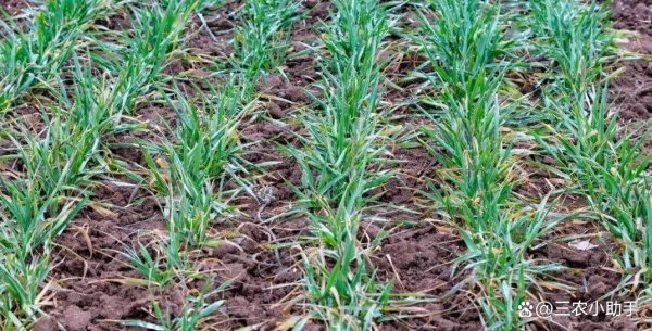欧洲杯体育当温度升至 18℃时-开云「中国」kaiyun体育网址登录入口